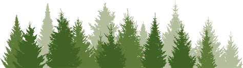 EnchantedPines.jpeg